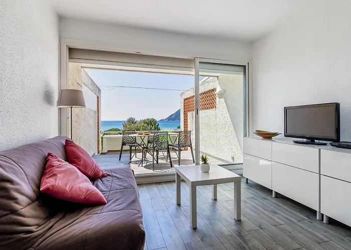 Vue Avec Terrasse Et Wifi * لا سين سور مير